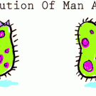 The evolution of man and woman